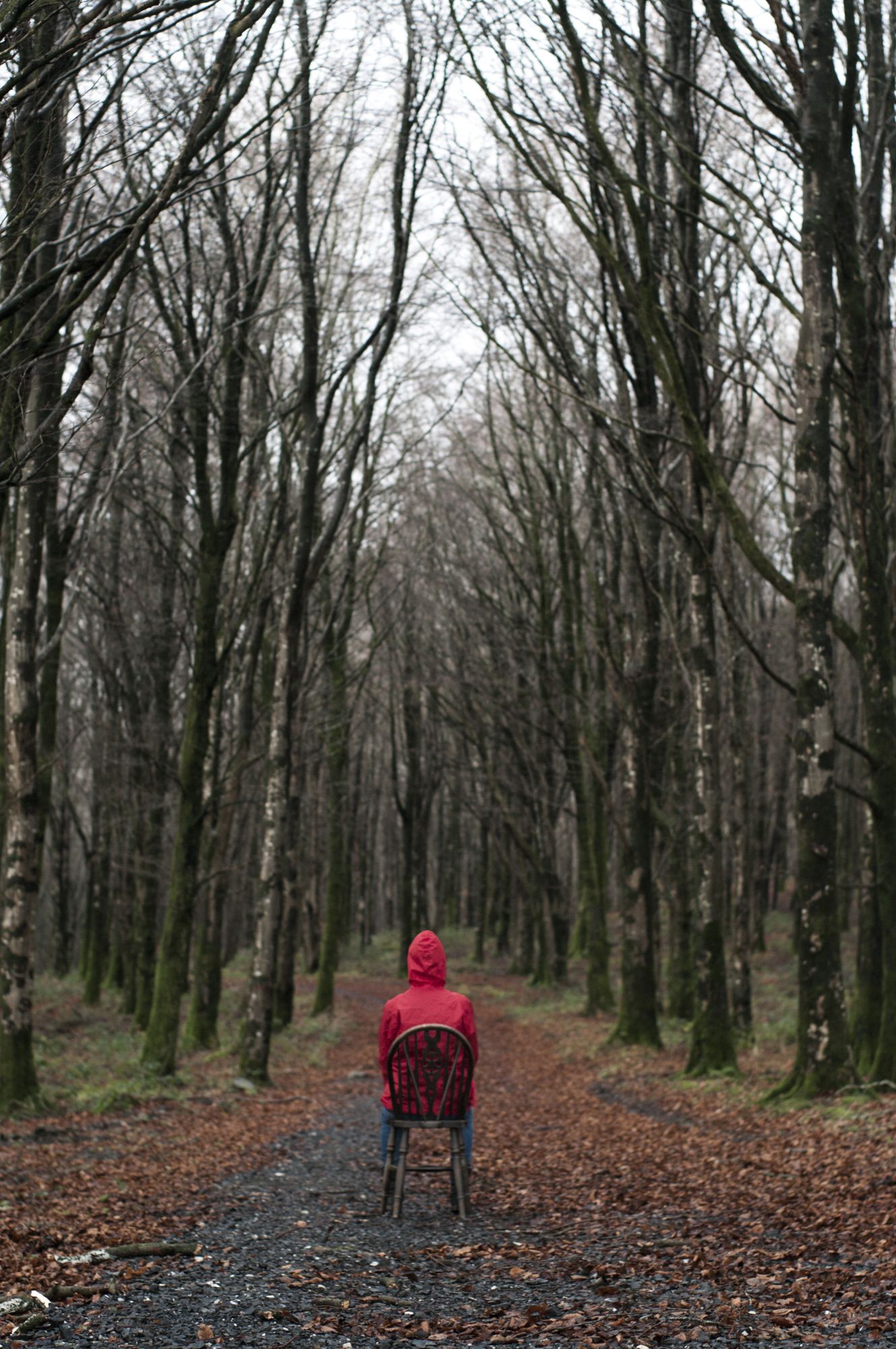The seated figure, tiny at the end of a beech avenue