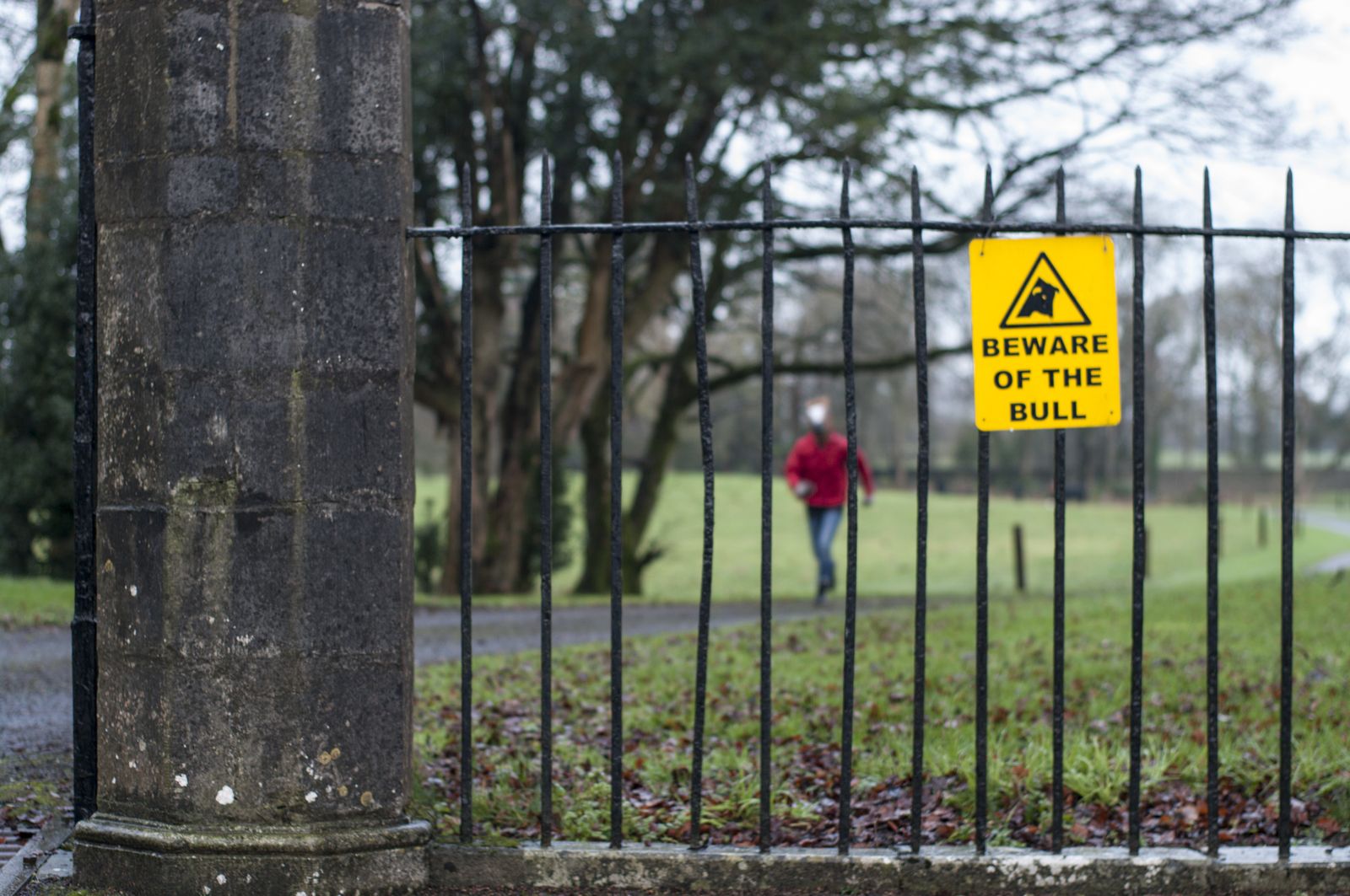 El caballo corre por un parque tras una verja con el cartel «Beware of the bull»