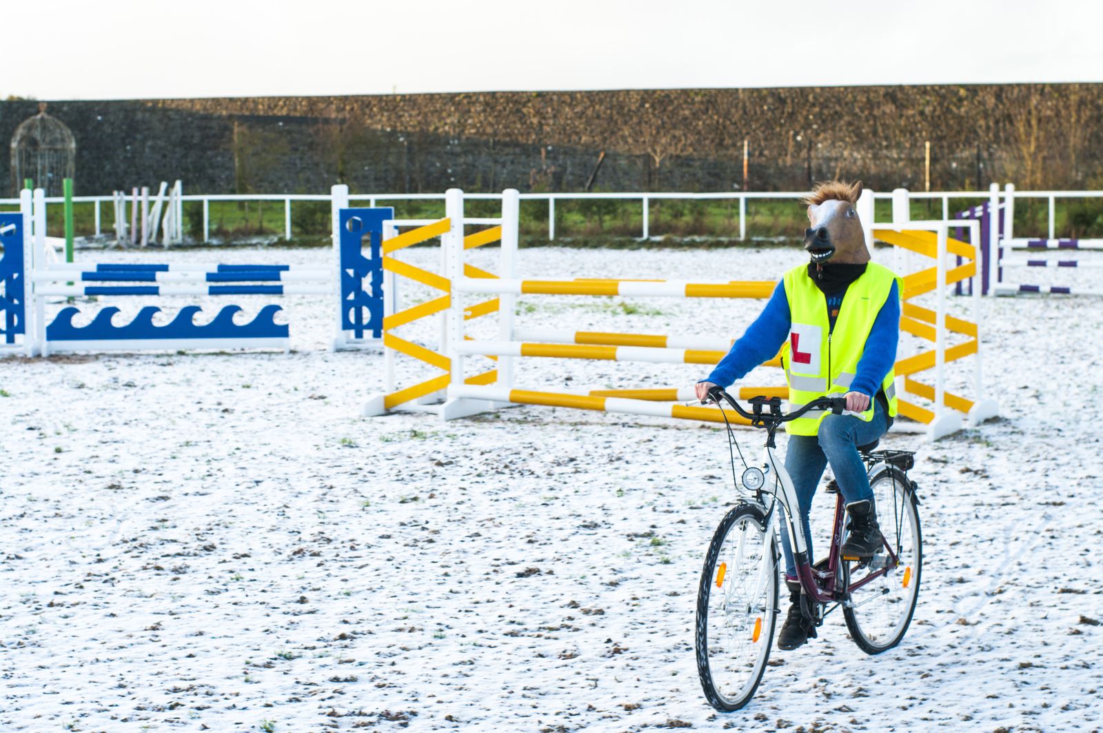 The horse, in a hi-vis vest with an L-plate, rides a bicycle through a snowy show-jumping arena