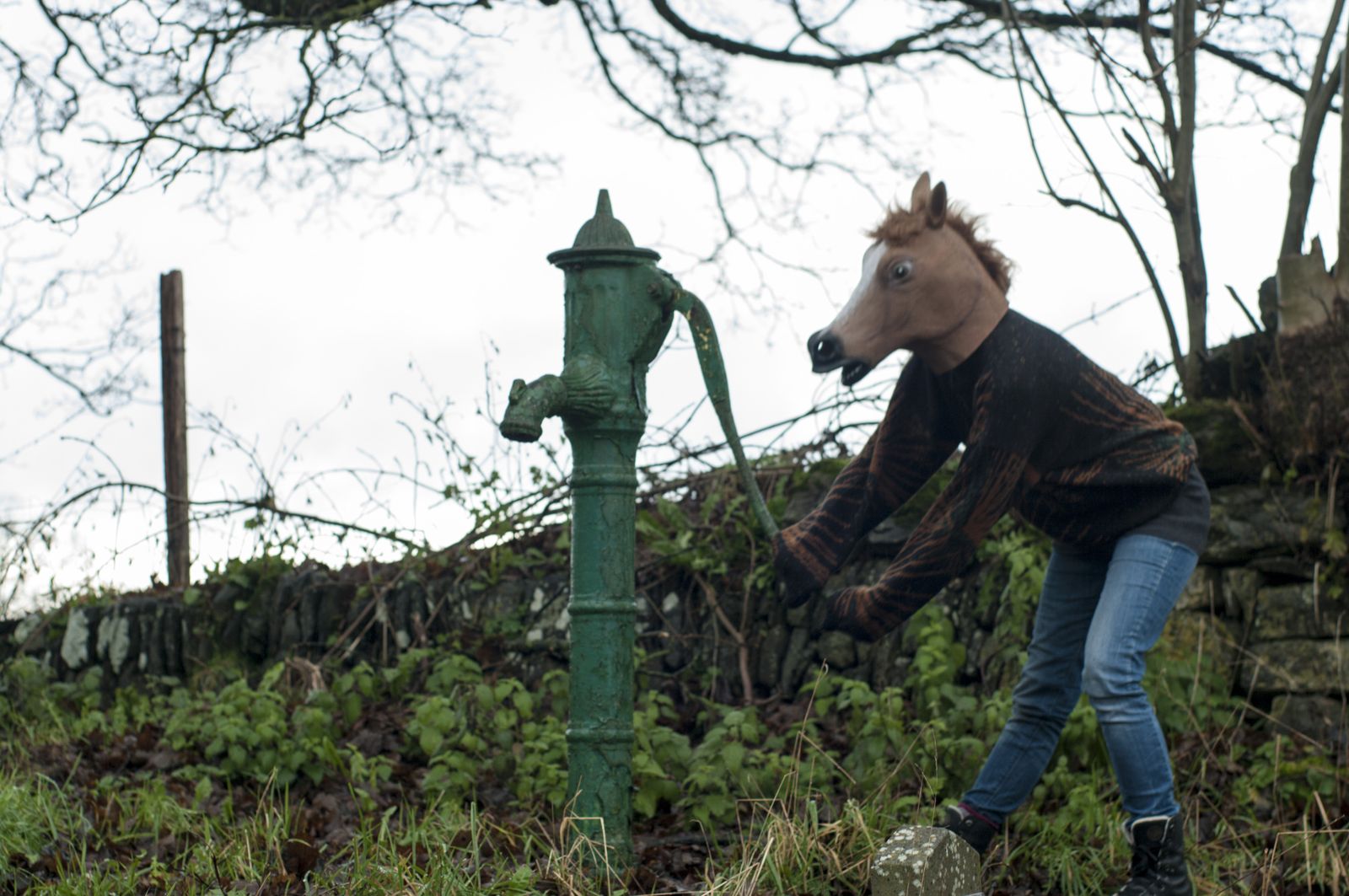 El caballo acciona una vieja bomba de agua verde